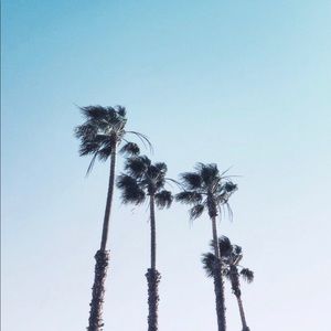 Meet your Posher, Liv